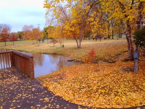 Autumn Day